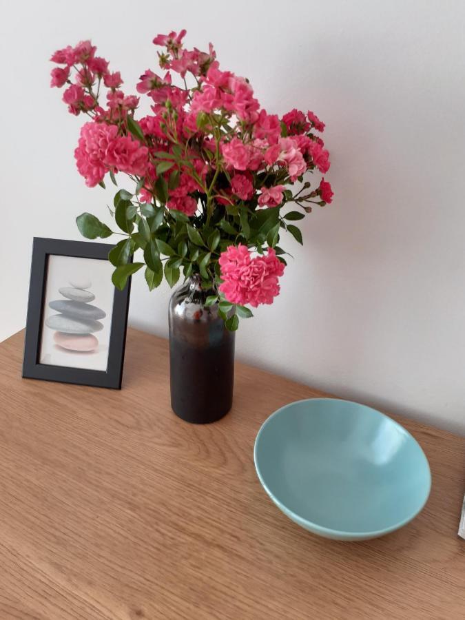 בודפשט Central Belvedere Apartman מראה חיצוני תמונה